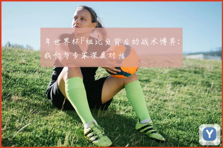 年世界杯F组比分背后的战术博弈：我们与专家深度对话