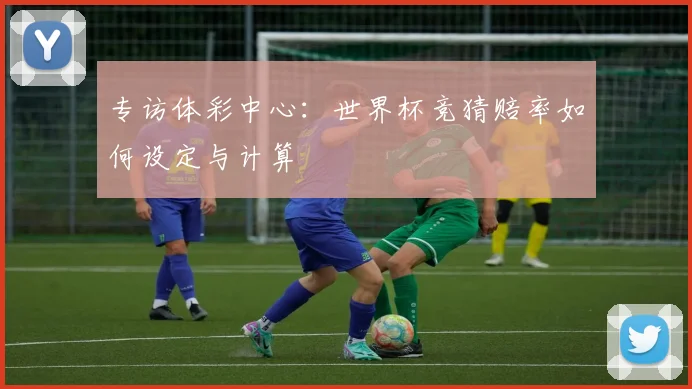 专访体彩中心:世界杯竞猜赔率如何设定与计算