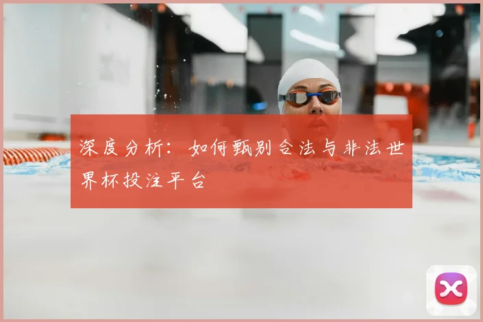 深度分析:如何甄别合法与非法世界杯投注平台