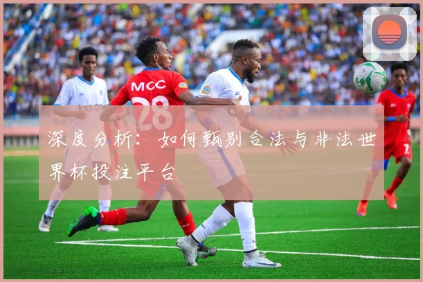 深度分析:如何甄别合法与非法世界杯投注平台