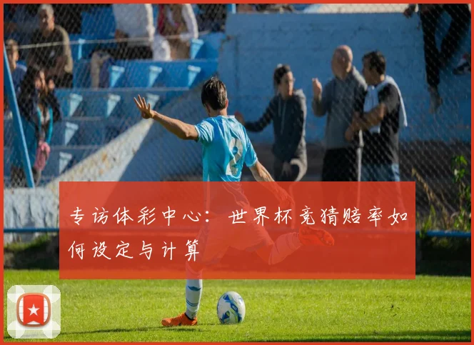 专访体彩中心:世界杯竞猜赔率如何设定与计算