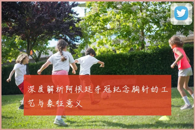 深度解析阿根廷夺冠纪念胸针的工艺与象征意义